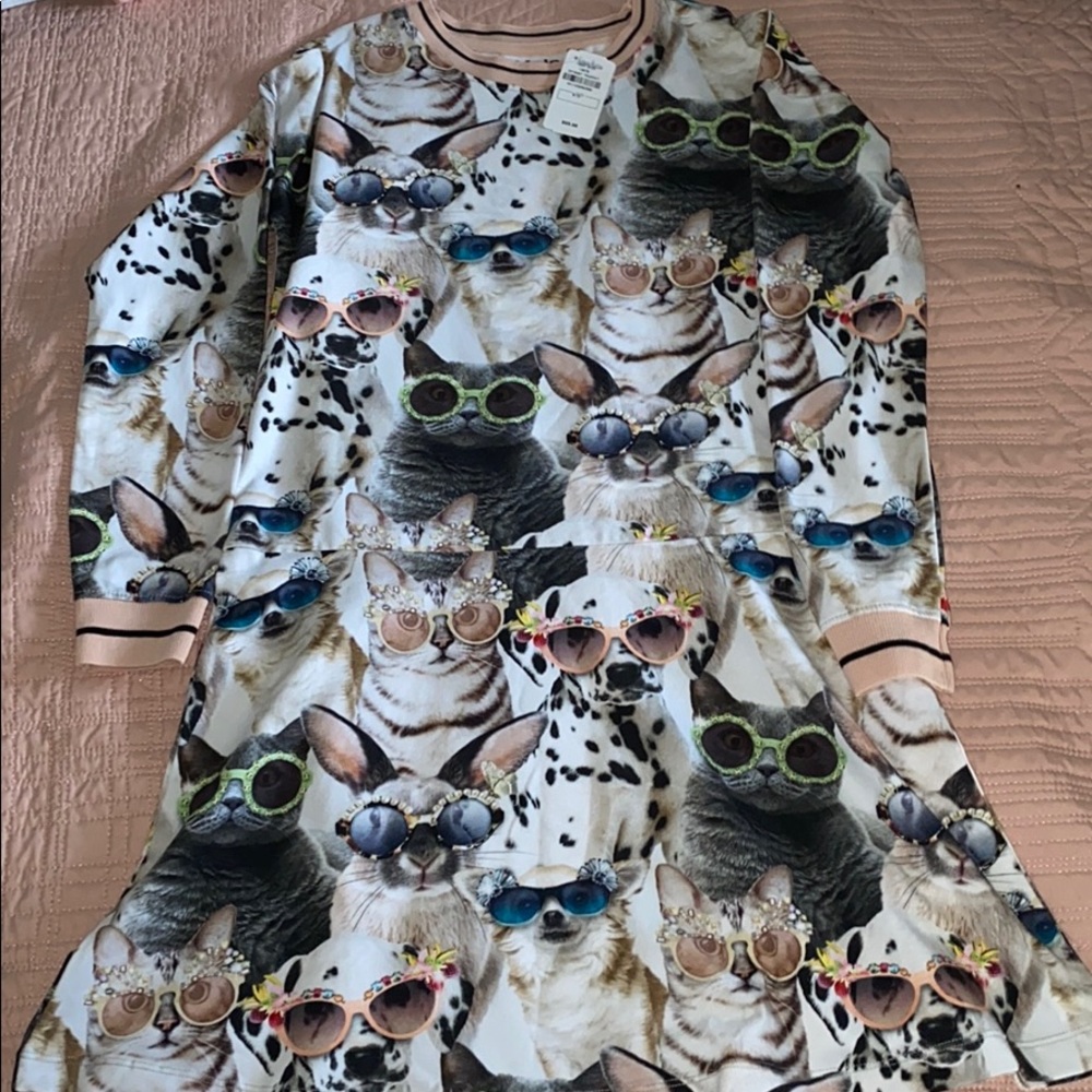 Dog dress🐶